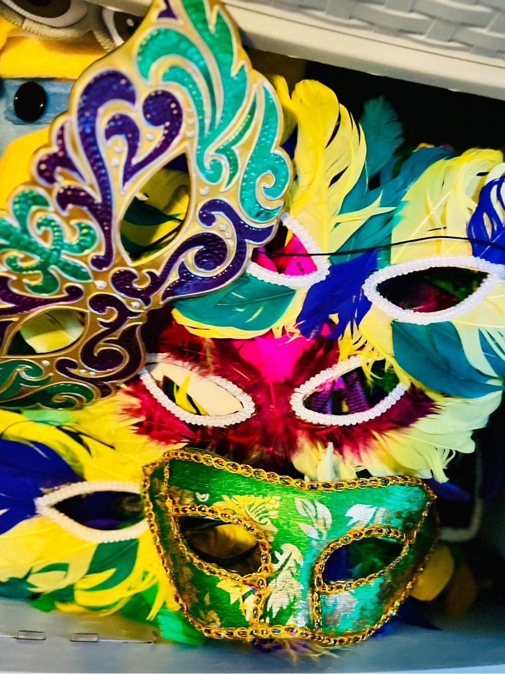 Mardis Gras bundle